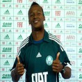 /album/elenco-do-palmeiras/tinga-jpg/